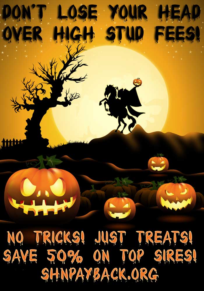 SHN Payback 2011-halloween.jpg