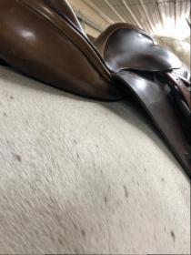 Saddle_4.jpg