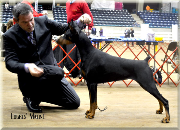 Matine-1-7-2012-16.jpg