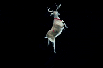 deer dance