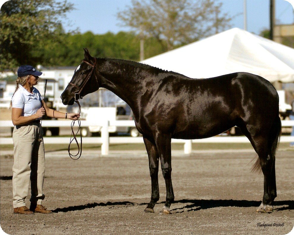 Tiny at Jacksonville 1resized lo res.jpg