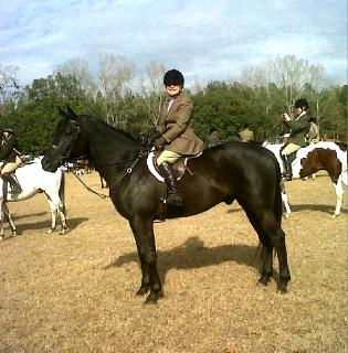 Rodeo at Low Country.forweb.jpg