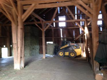 skid loaded hay.JPG