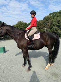saddle.jpg