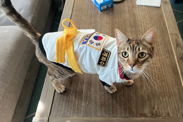 Gemma Kwon Do