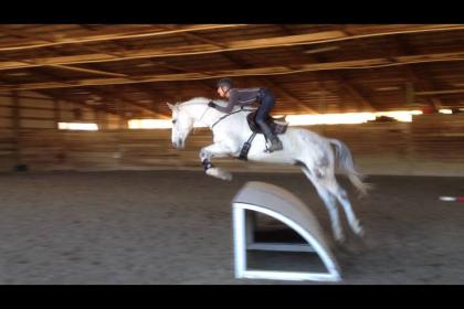 Bridleless Jump.jpg