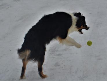 DSC_0203.JPG