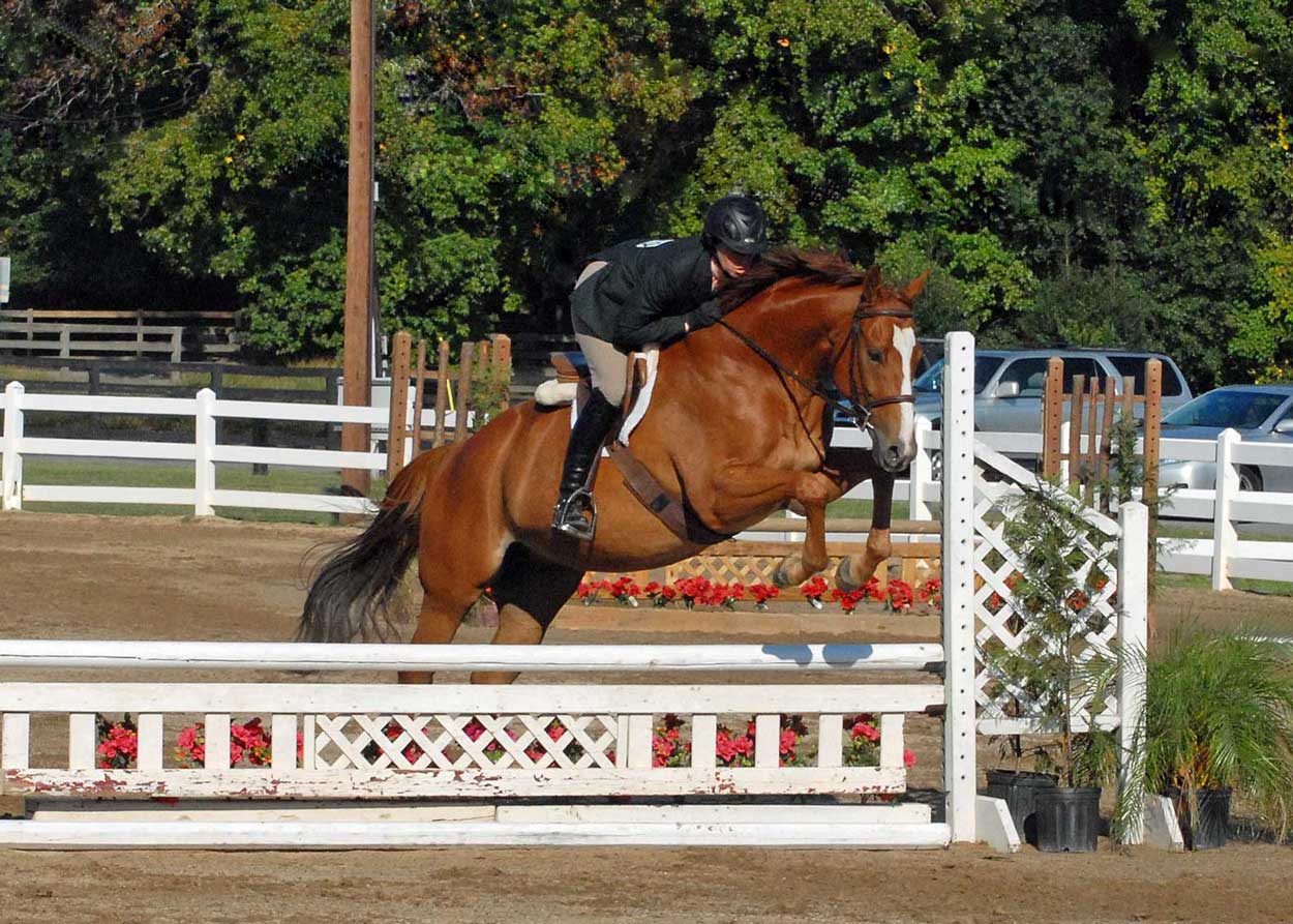 Lido-9-24-show-crop-web.jpg