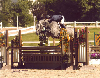 ChicoHP2009b.jpg