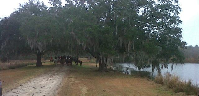Low Country1.jpg