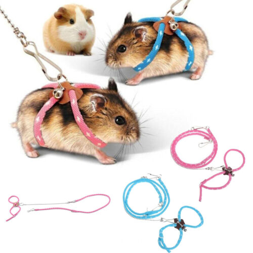 hamster leash