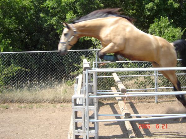 pi big jump