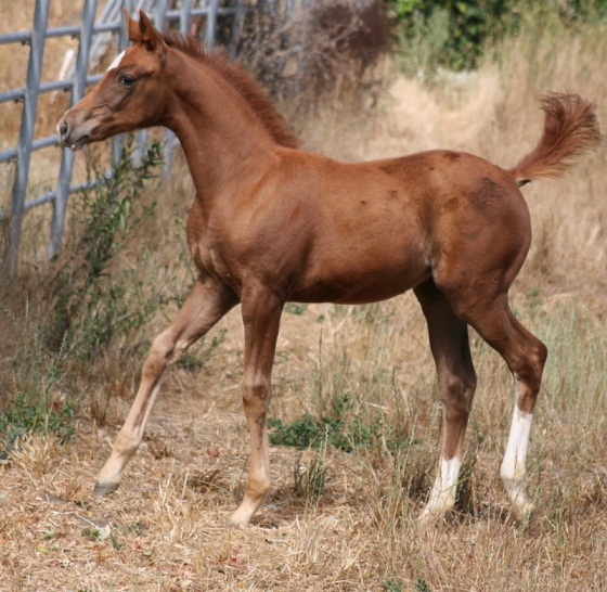 velvetgood1small.jpg
