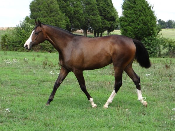 August2012 025.jpg