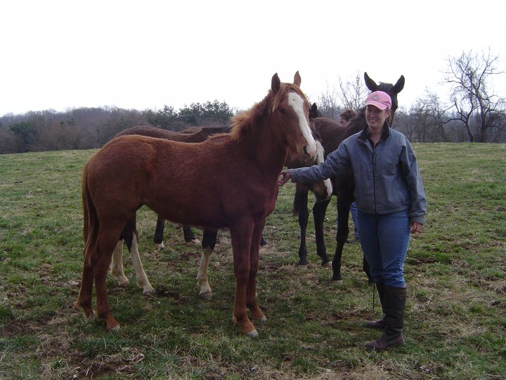 hairy yearling.jpg