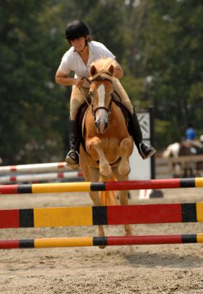 Paz jumper show.jpg