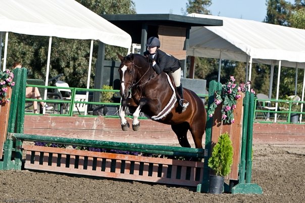 roxy jumping.jpg