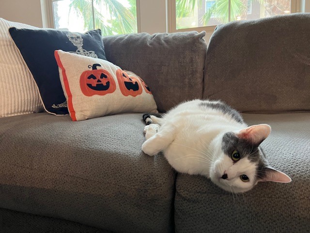 milo couch