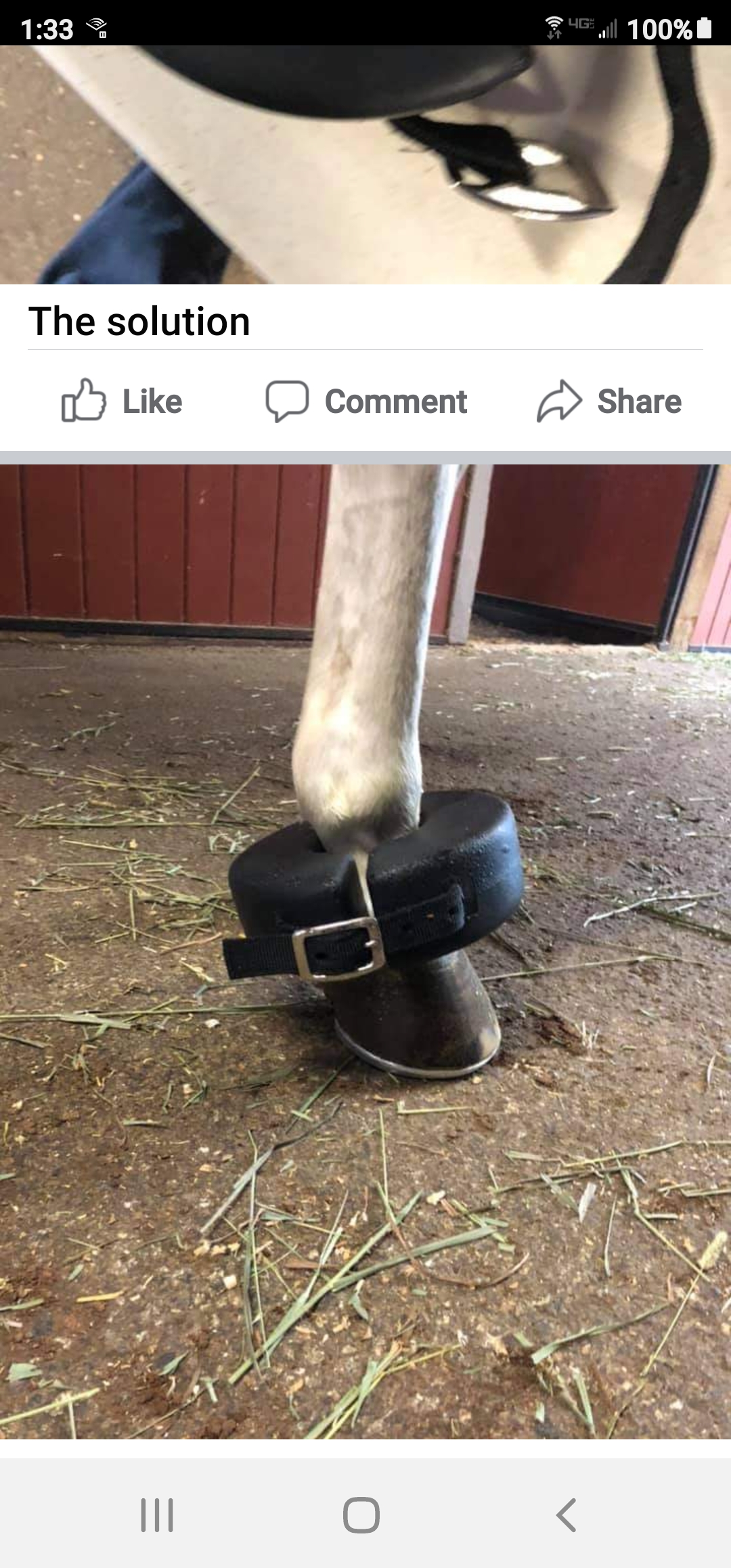 Horse donut outlet boot