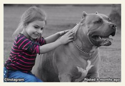 mia-derouen-and-pit-bull-that-killed-her-niko.jpg