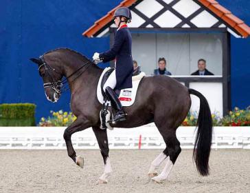 dujardin-valegro4-rau_0.jpg