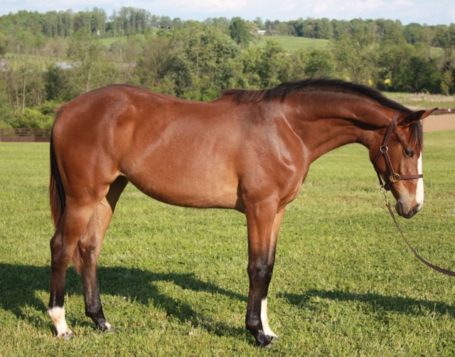 Kono May 2012.jpg