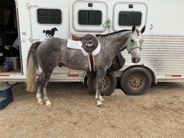 2019-06-29 AQHA show 2.JPG