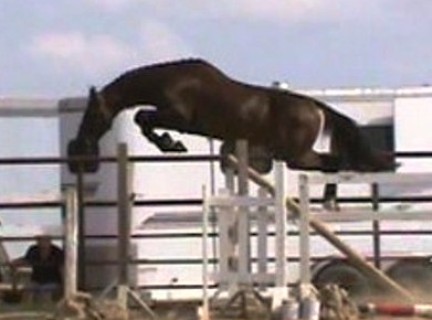 Cartier Jump 2 blowup.jpg