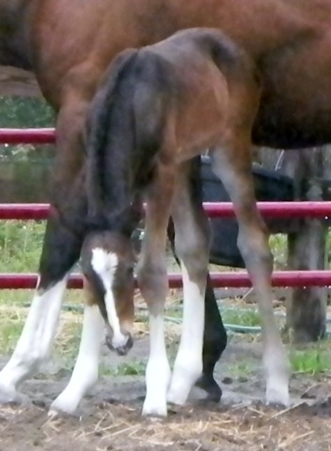 DSCN4705.JPG