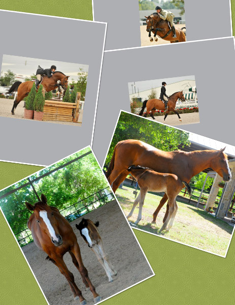 Hank Ginney collagesml.jpg