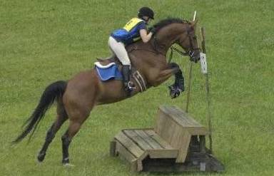 Ukiah Fair Hill 1.JPG