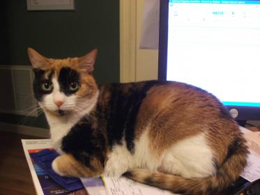 DSCF5730.jpg