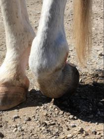 Toe stance.resize.JPG