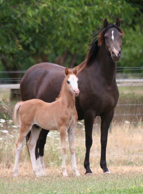 myrlin1momysticalstandup01.jpg