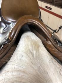 Saddle_3.jpg