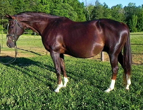 ritmo beforeafter.jpg