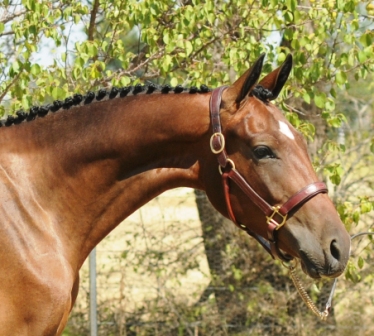 head 08-06-12aweb.jpg