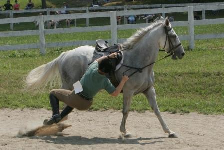 acps08_20D1_8740 compressed and cropped.JPG