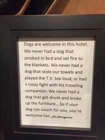why dogs are better than we are.jpg