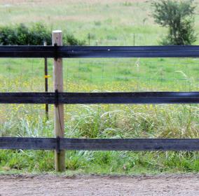 fence.jpg