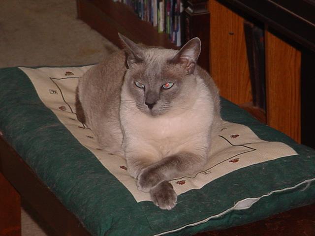 Rosalind on Piano Bench