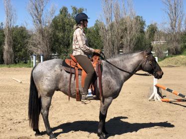 Saddle too far back on sale