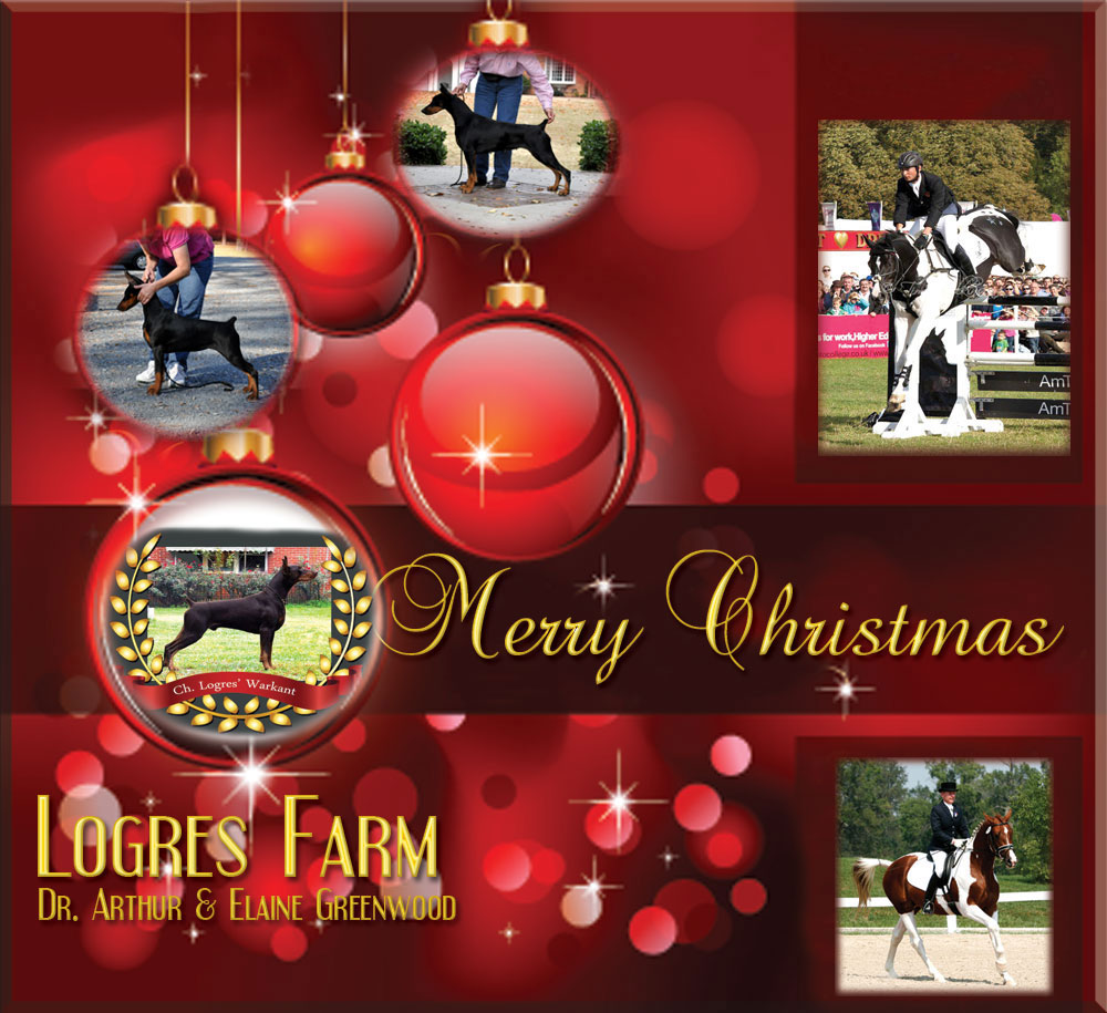 Logres Christmas 2011.jpg