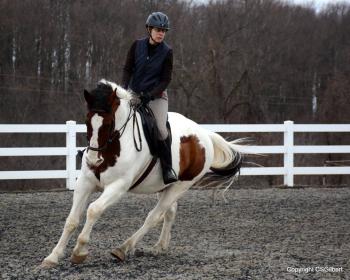 ovcta jump clinic.jpg