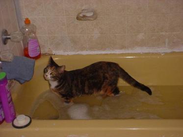 Jenny in Tub.jpg