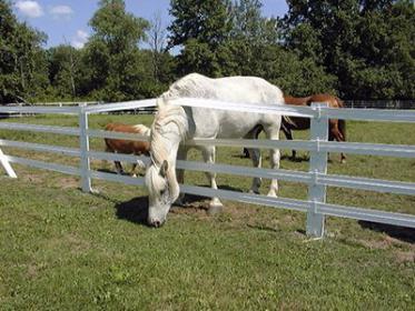 Flex Fencing.jpg