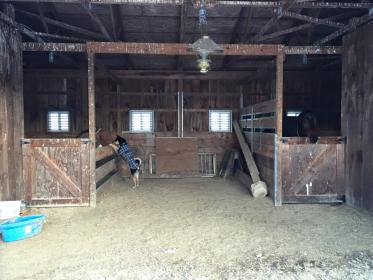 barn.jpg