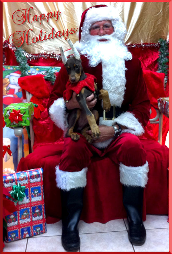 Evy-Christmas.jpg