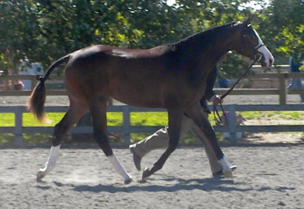 May2012 0201.jpg
