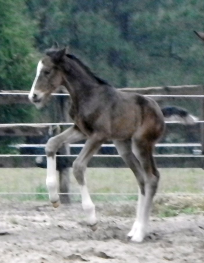 DSCN4591.JPG